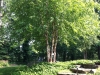 Landscape Design Baltimore MD