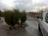 Baltimore MD Landscaping