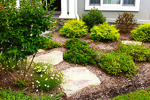 Landscaping in Baltimore