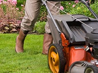 Landscaping Services in DC